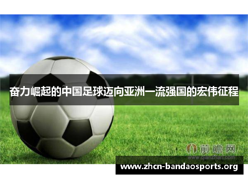 奋力崛起的中国足球迈向亚洲一流强国的宏伟征程