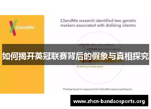 如何揭开英冠联赛背后的假象与真相探究